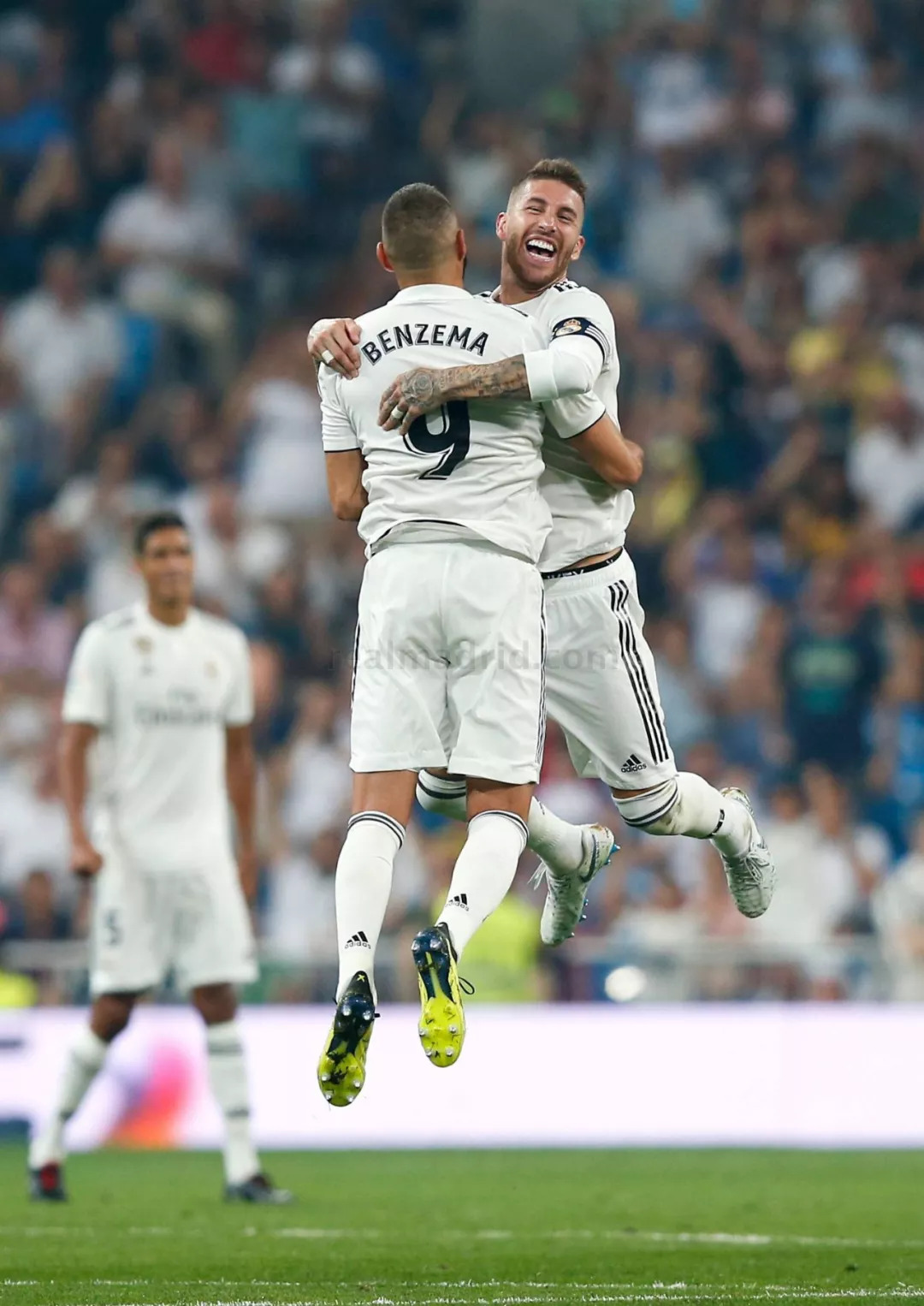 员在职业生 员在职业生