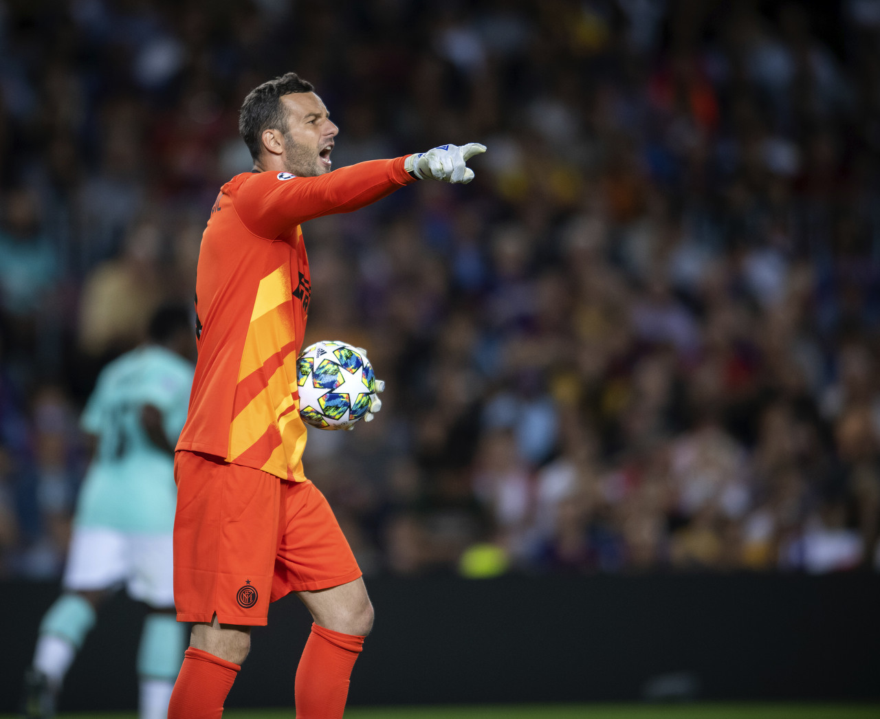 而是被误读 而是被误读